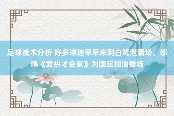 足球战术分析 好多球迷早早来到白鹭泄漏场，都唱《爱拼才会赢》为国足加油捧场