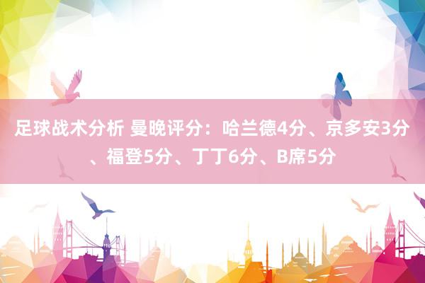 足球战术分析 曼晚评分：哈兰德4分、京多安3分、福登5分、丁丁6分、B席5分