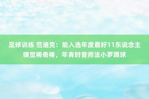 足球训练 范迪克：能入选年度最好11东说念主嗅觉稀奇棒，年青时曾师法小罗踢球