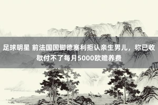 足球明星 前法国国脚德塞利拒认亲生男儿，称已收歇付不了每月5000欧赡养费