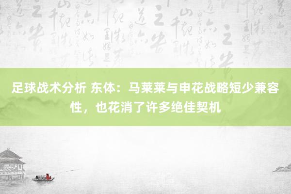 足球战术分析 东体：马莱莱与申花战略短少兼容性，也花消了许多绝佳契机