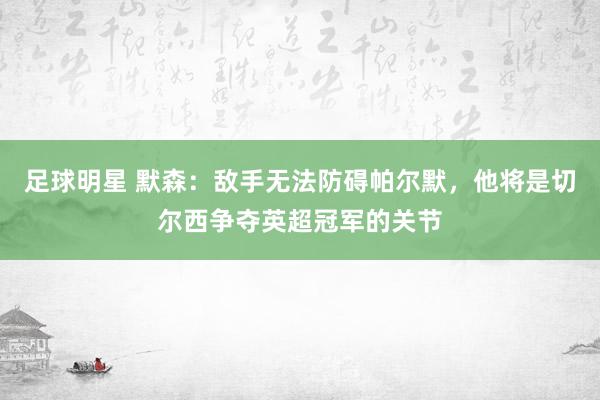 足球明星 默森：敌手无法防碍帕尔默，他将是切尔西争夺英超冠军的关节