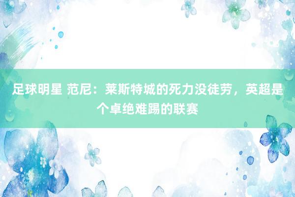 足球明星 范尼：莱斯特城的死力没徒劳，英超是个卓绝难踢的联赛