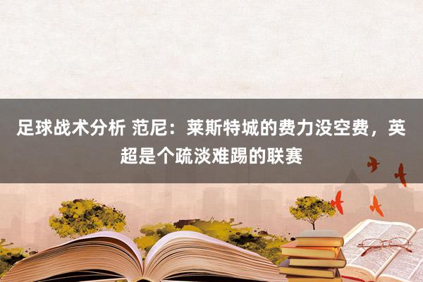 足球战术分析 范尼：莱斯特城的费力没空费，英超是个疏淡难踢的联赛